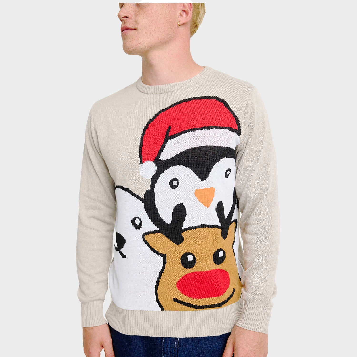 Animal Christmas Sweater โ Men